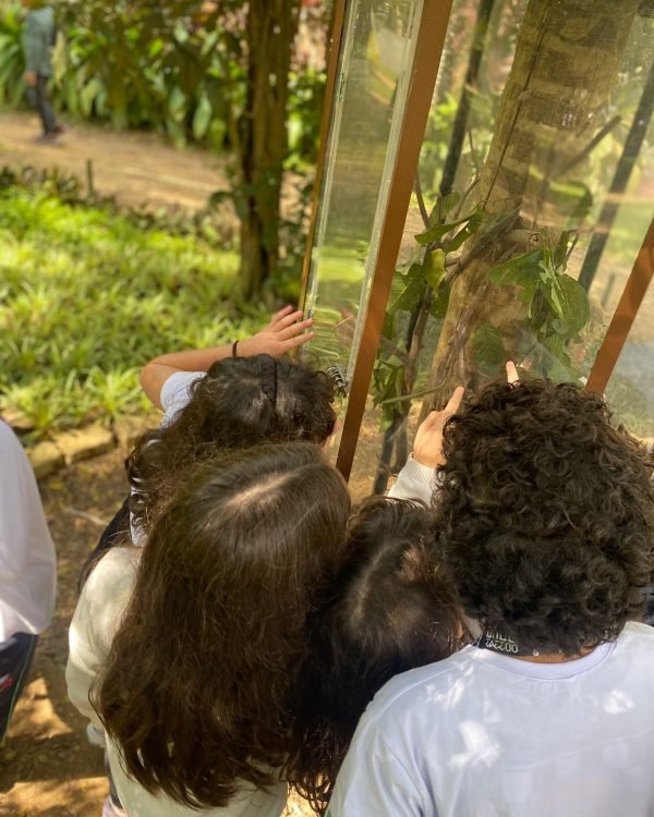 Saída Burle Marx Primaria (42)