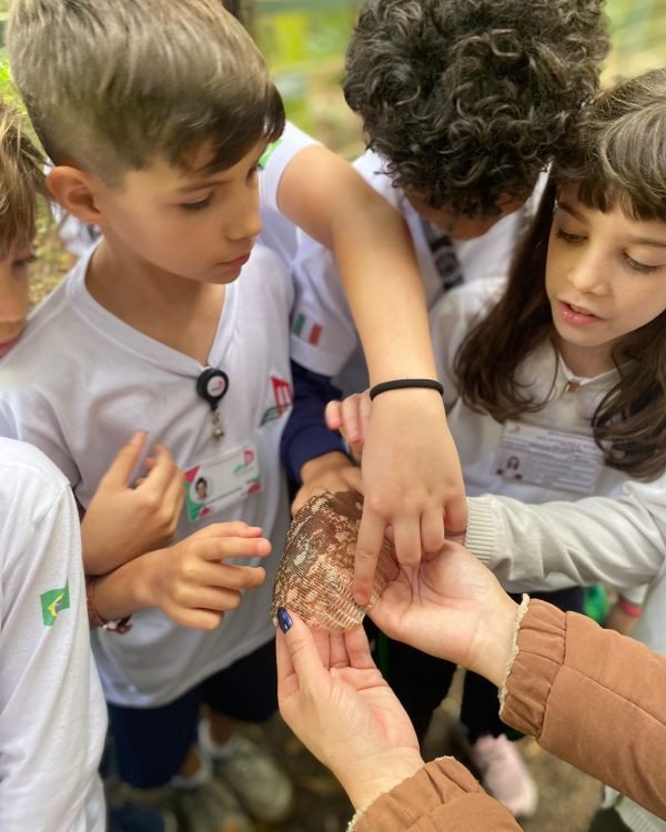 Saída Burle Marx Primaria (46)